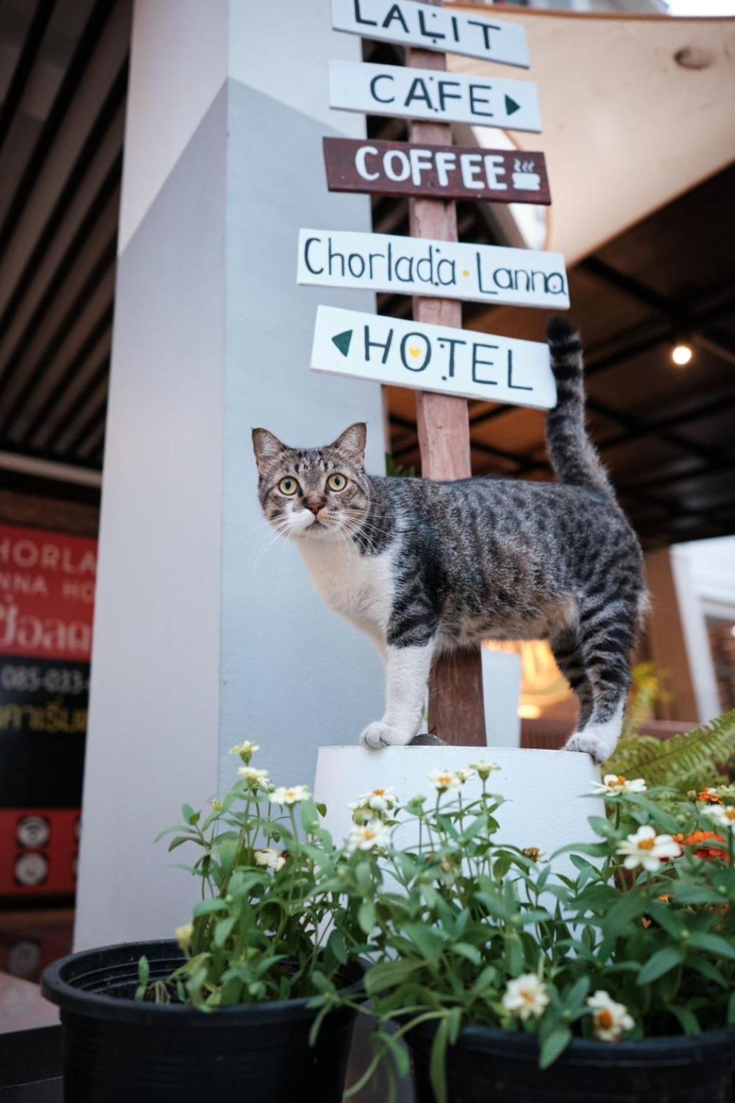 Chorlada Lanna Hotel Chiang Mai Exterior photo